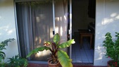 Enlarge photo 46