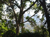 Enlarge photo 33