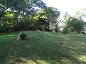 Enlarge photo 38