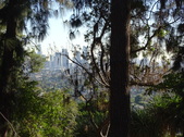 Enlarge photo 96