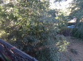 Enlarge photo 118