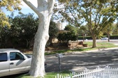 Enlarge photo 29