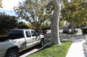 Enlarge photo 36