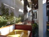 Enlarge photo 50