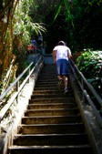 Enlarge photo 49