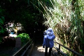Enlarge photo 50