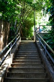 Enlarge photo 51