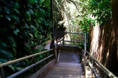 Enlarge photo 52