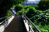 Enlarge photo 53