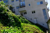 Enlarge photo 54