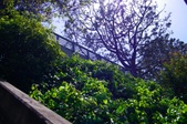 Enlarge photo 58
