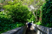 Enlarge photo 59