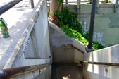 Enlarge photo 61