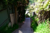 Enlarge photo 26