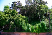 Enlarge photo 37