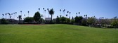 Enlarge photo 71