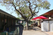 Enlarge photo 41