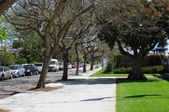 Enlarge photo 72