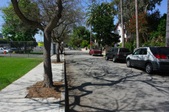 Enlarge photo 77