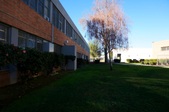 Enlarge photo 30