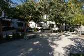 Enlarge photo 69