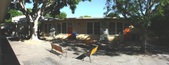 Enlarge photo 35