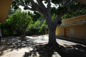 Enlarge photo 34
