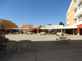 Enlarge photo 61