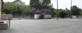 Enlarge photo 52