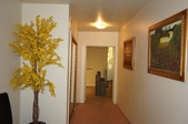 Enlarge photo 151