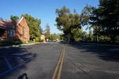 Enlarge photo 149