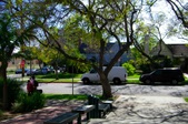 Enlarge photo 26