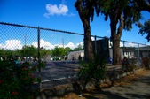 Enlarge photo 68