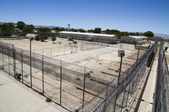 Enlarge photo 116