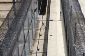 Enlarge photo 119