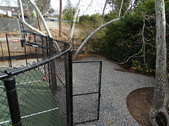 Enlarge photo 154