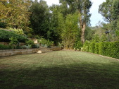 Enlarge photo 151