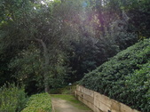 Enlarge photo 141
