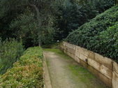 Enlarge photo 139