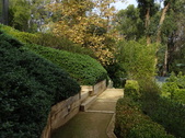 Enlarge photo 138