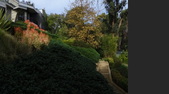 Enlarge photo 134