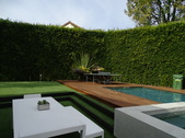 Enlarge photo 113