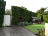 Enlarge photo 39
