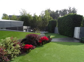 Enlarge photo 35