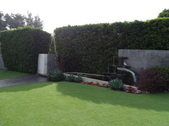 Enlarge photo 33