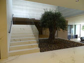 Enlarge photo 82