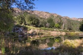 Enlarge photo 148