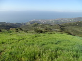 Enlarge photo 90