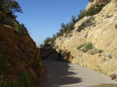Enlarge photo 93