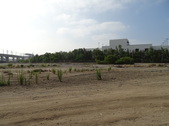 Enlarge photo 35